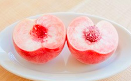 《先行予約 2024年発送》【硬い桃好きの方へ】大人気！おどろきのパリパリ食感！ 山形産もも2kg FSY-0170