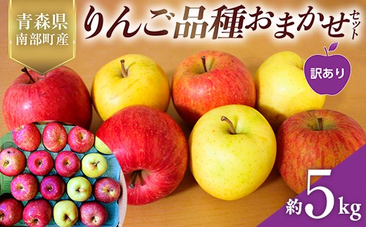 
                  【訳あり】 りんご品種おまかせセット 5kg ≪佐々木あきおはるこ農園≫ 青森りんご リンゴ 林檎 アップル 家庭用 規格外 あおもり 青森県 南部町 三戸 果物 くだもの フルーツ おすすめ F21U-557
                