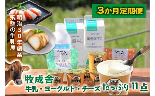 3か月定期便【飛騨乳製品バラエティセット】牛乳・ヨーグルト・チーズ詰め合わせ　11点セット ｜乳製品 習慣 詰合せ 家族 朝食  牧成舎 牧成舎 DF244