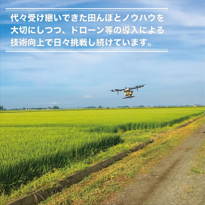 SE0454　令和7年産【精米】はえぬき　10kg(5kg×2袋) YA