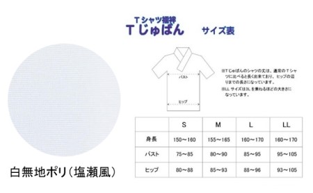Tじゅばん Tシャツ襦袢 衣紋抜き＋【色柄 種類:白無地ポリ（塩瀬風）】女性用 田中和裁　S/M/L/LL Sサイズ