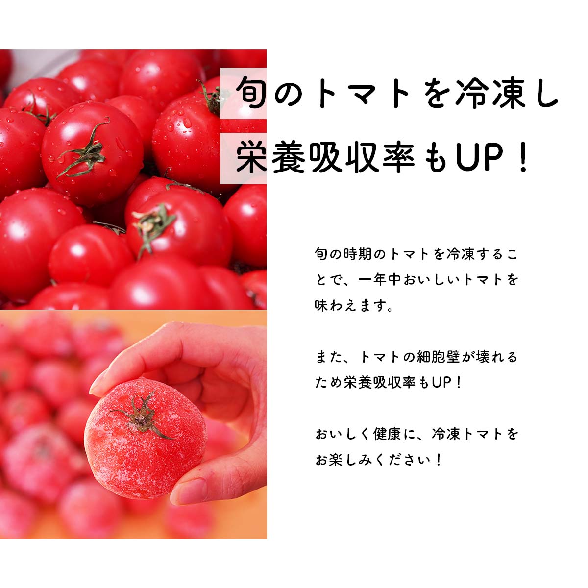 【訳あり】冷凍トマト・お試し30個／約1.5kg 冷凍で皮むき簡単。保存がきく！_イメージ4