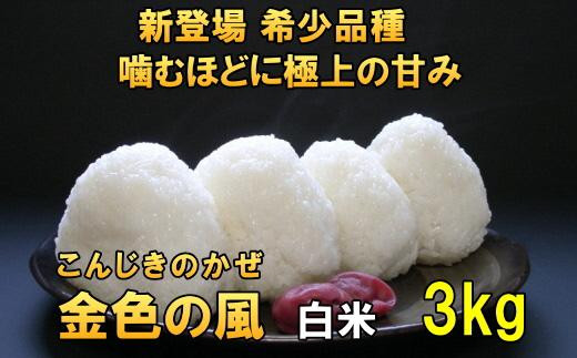 新登場の高級米 令和7年産 岩手県奥州市産 金色の風 白米 3kg 【7日以内発送】 おこめ ごはん ブランド米 [AC026]