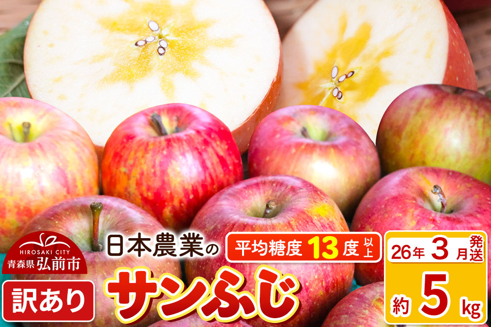【26年3月発送】りんご 平均糖度13度以上！ サンふじ 約5kg 訳あり クール便 青森 果物 フルーツ 林檎 リンゴ くだもの 不揃い 規格外