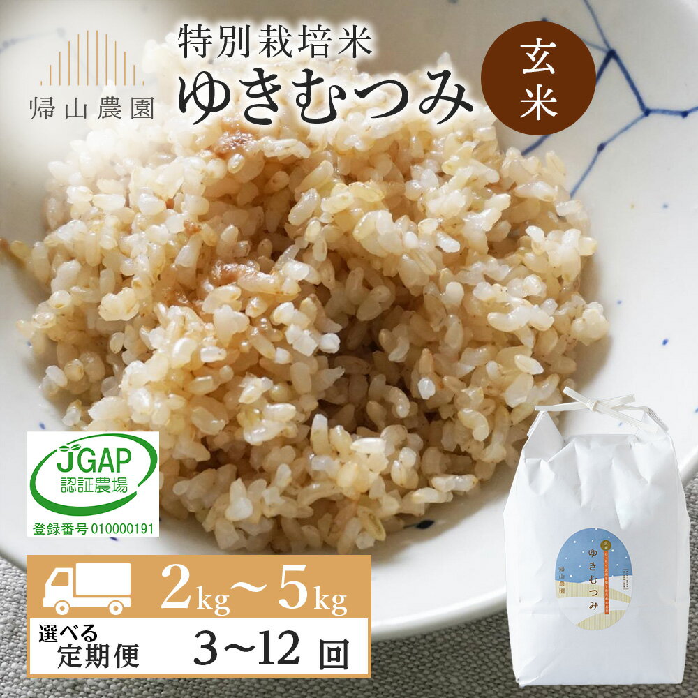 【ふるさと納税】【定期便】 玄米 ゆきむつみ 選べる定期便 2kg〜5kg 特別栽培米産地直送《帰山農園》 国産 北海道 知内 北海道産 ゆきむつみ 特別栽培米 特別栽培農産物知内町 ふるさと納税 米 こめ 北海道産お米 北海道米 美味しいお米 北海道産米 道産米
