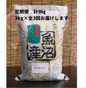 【令和７年産新米予約】３か月定期便　がんこおやじが作った南魚沼産コシヒカリ白米３kg【2025年10月20日頃より順次発送予定】