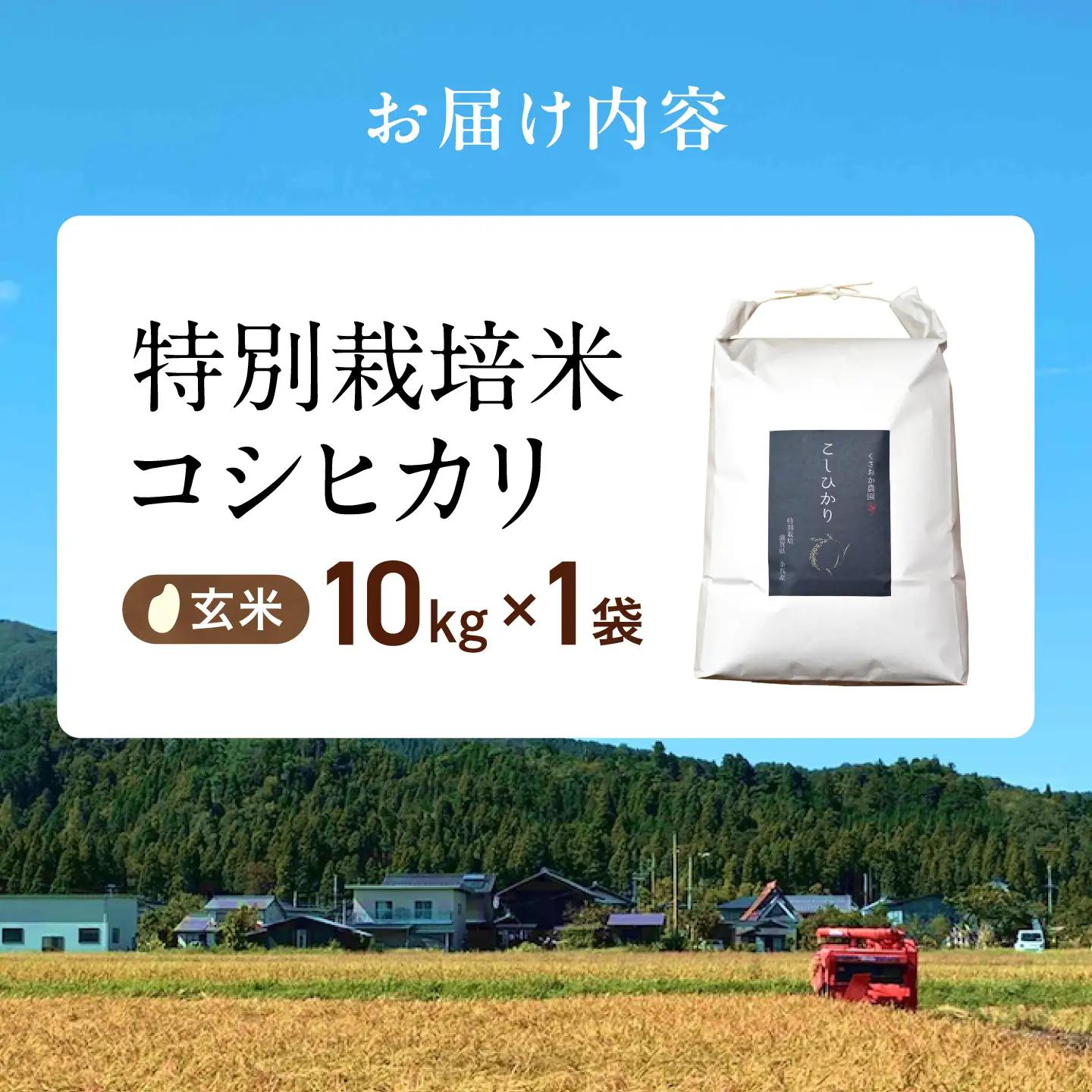 ＜先行予約＞特別栽培米コシヒカリ10kg 玄米[AQEB006]