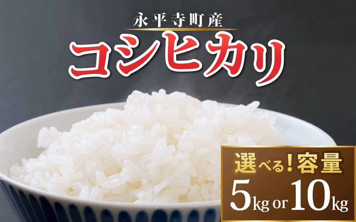 
                  【令和8年産 新米 】【選べる内容量】 コシヒカリ 白米 5キロ 10キロ [A-033105oya] / 無農薬 減農薬 コシヒカリ 特別栽培 白米 米 お米  こめ コメ 送料無料 福井 永平寺 [A-033105oya]
                