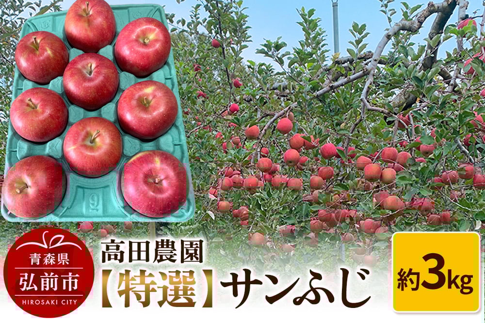 
            りんご【特選】サンふじ 約3kg  弘前市産 青森りんご
          