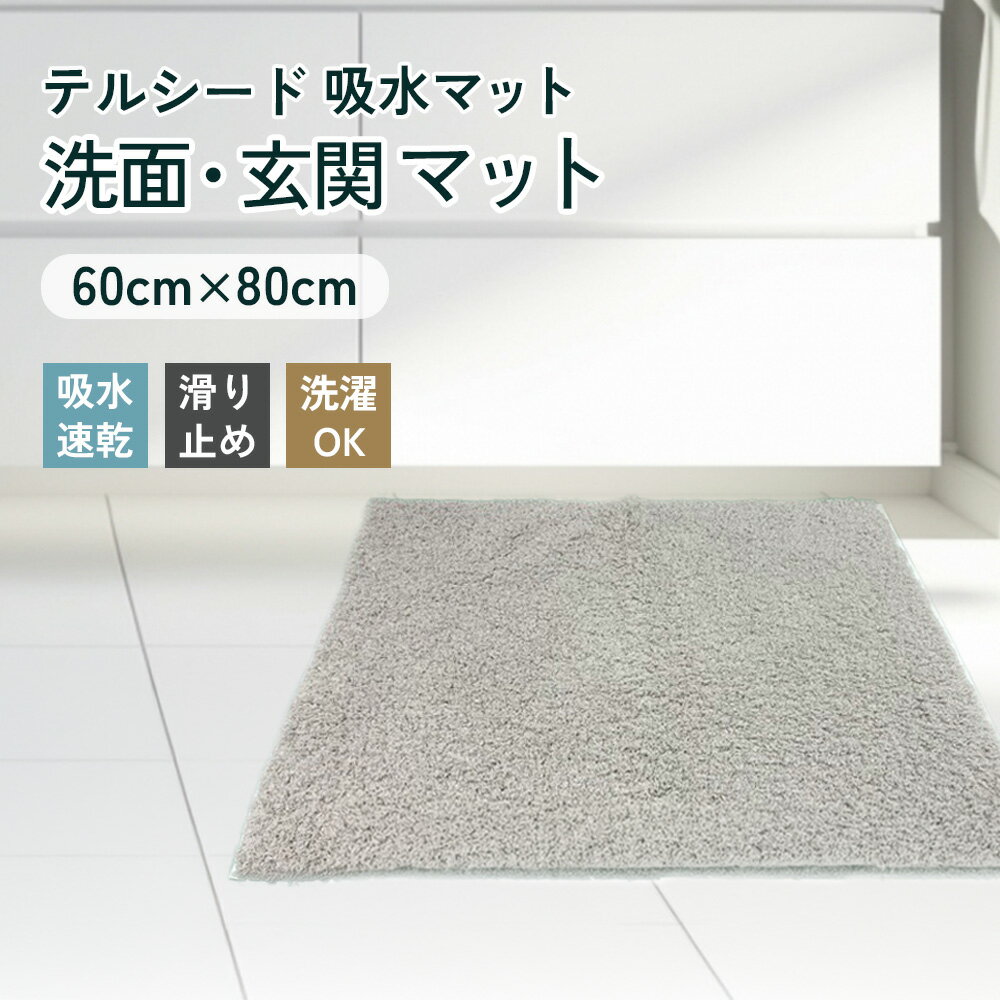 【ふるさと納税】 吸水マット （洗面・玄関用） テルシード ／ 洗面所 玄関 フロアマット 速乾 足ふき 吸水力 高吸水 さらっと感 速乾マット 滑り止め 洗濯機対応 生活雑貨 日用品 大判マット 送料無料 大阪府 No.257