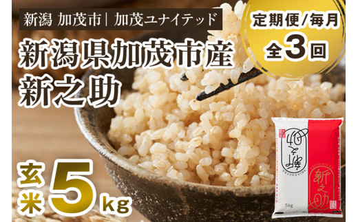 【令和8年産新米先行予約】【定期便3ヶ月毎月お届け】新潟県産 新之助 玄米 5kg（5kg×1袋）《10月上旬から順次出荷》 新潟県産新之助 新潟産新之助 加茂市産新之助 新之助 しんのすけ 新潟 ブランド米 新之助 加茂市 加茂ユナイテッド