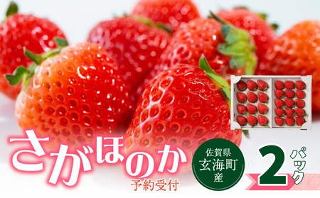★予約受付★杉山いちご農園 佐賀県玄海町産いちご「さがほのか」2025年1月～4月順次配送【B158】