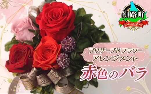 
            プリザーブドフラワー アレンジメント 赤色のバラ | 老舗の花屋さん 手づくり ギフト用 贈呈 記念日 結婚 誕生日 お祝い プリザーブ ド フラワーアレンジメント フローリストやまくら 釧路町 北海道 釧路町 釧路超 特産品 br08
          
