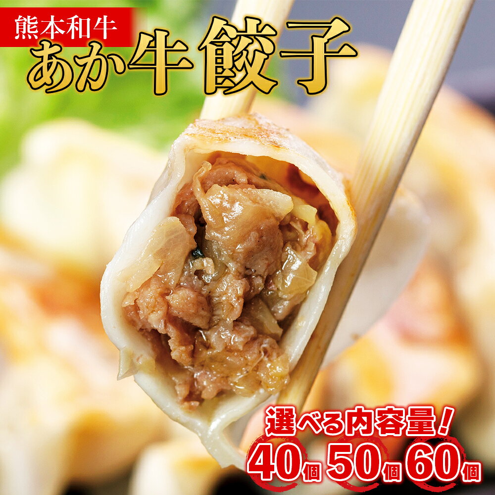 【ふるさと納税】 選べる内容量 熊本和牛 あか牛 餃子 40個 50個 60個 ぎょうざ ギョーザ 惣菜 冷凍餃子 大容量 冷凍 熊本県 水上村