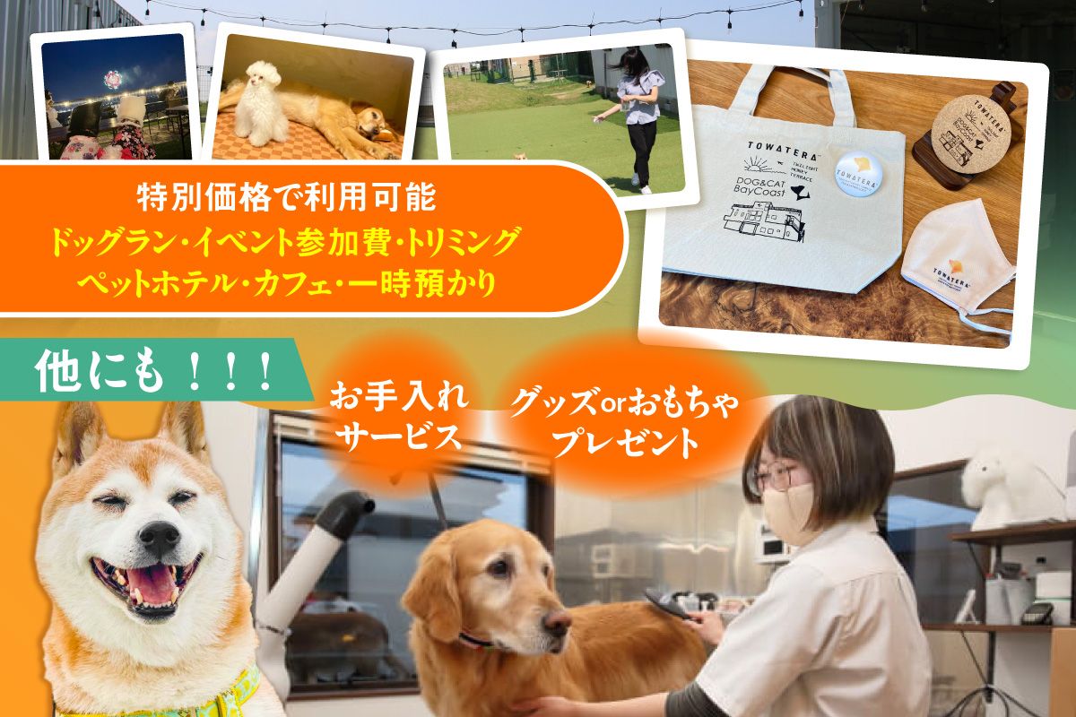 【TOWATERAメンバーズ】ドッグラン、ペットホテルなどをお得に利用できる「トワるん」会員入会＋ドッグラン使い放題【2頭】｜犬 ペット おでかけ 知多半島 伊勢湾 オーシャンビュー 海沿い 観光 体