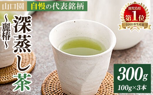 ＜お茶生産量日本一の鹿児島県産！＞鹿児島県曽於市産 小さいお茶屋の深蒸し茶〜麗椿〜(茶葉100g×3本・合計300g) 国産 緑茶 深蒸し茶【お茶の山口園】A186-v01