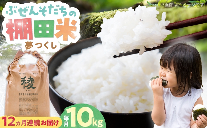 
                  【全12回定期便】新米 求菩提米 夢つくし 10kg (5kg×2袋) 《豊前市》【アグリネックス】 米 お米 白米 10キロ 米10kg 米10キロ 新米 産地直送 精米 国産 おすすめ おいしい 甘い 人気 ランキング [VCO013]
                