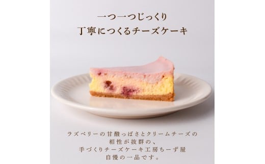 2回 定期便 ラズベリーベイクド チーズケーキ 4号 12cm 冷凍 スイーツ デザート ケーキ ベリー 洋菓子 お菓子 おやつ 手作り お取り寄せ ご褒美 ギフト プレゼント 贈り物 誕生日 記念日