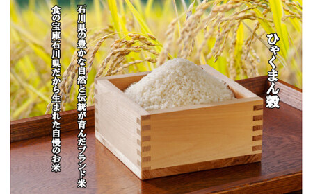 【期間限定発送】 米 令和7年 ひゃくまん穀 精米 10kg ×3袋 計 30kg [中橋商事 石川県 宝達志水町 38601203]