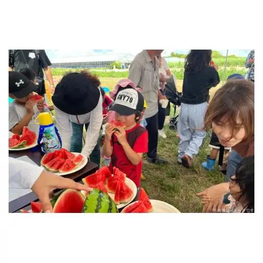 タネまで食べられる？！ タネまで美味しいスイカ「ぷちっと」約6kg（2玉） (CI002)