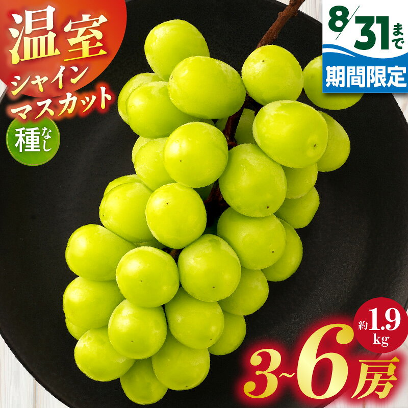 【ふるさと納税】【8月31日（夏休み）までの期間限定価格!!】温室シャインマスカット　約1.9kg| シャインマスカット ぶどう ブドウ 果物 フルーツ 期間限定 くだもの 国産 ギフト 旬 人気 種なし 皮ごと食べられる 先行予約 季節限定 おすすめ 旬の果物 香川 三木町