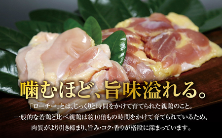 味付け親鶏セット 1.2kg 3種食べ比べ 鶏肉