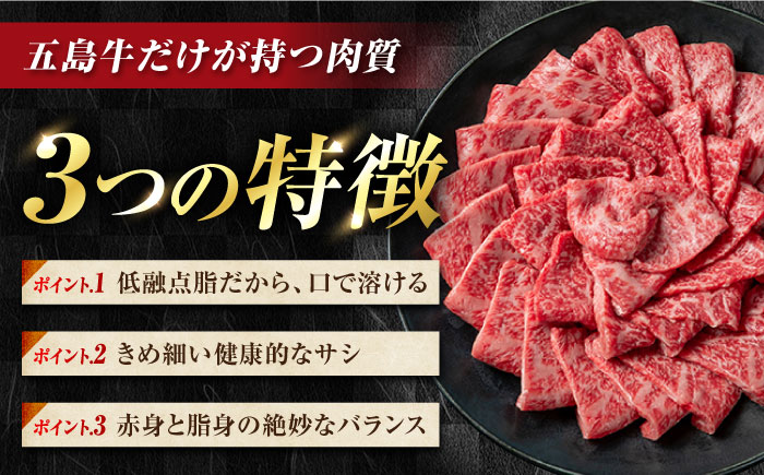 【12回定期便】五島牛薄切り700g（ロース300g/モモ400g） 五島市/ごとう農業協同組合[PAF014] 