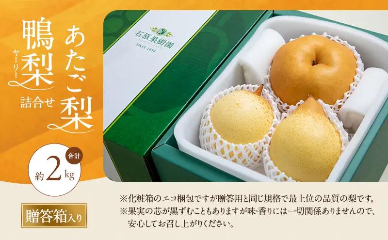 梨 2026年 先行予約 あたご梨・鴨梨（ヤーリー）詰合せ 合計約2kg  岡山県産 梨