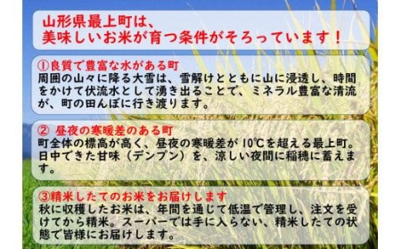 令和7年産　山形県産 はえぬき 20㎏ (10㎏×2袋)