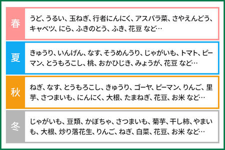 季節のお野菜 おまかせセット A（5～6種類）詰め合わせ