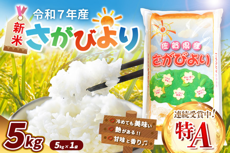 【令和7年産新米】さがびより 5kg【特A米 米 ブランド米 県産米 精米 ごはん おにぎり お弁当 ふっくら もっちり】K018030