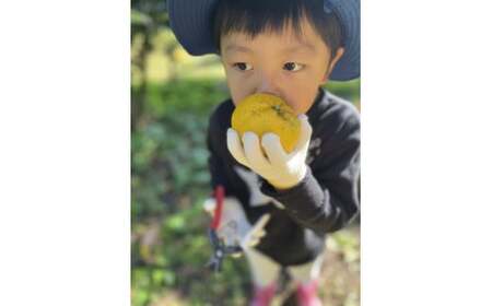 北限のゆずを堪能！ 皮ごと丸搾り果汁 200ml×1本 ＆ 果皮 1kg セット ゆず