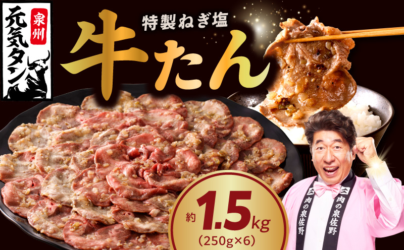 ねぎ塩牛たん 総量 1.5kg【小分け 250g×6P 牛タン 牛肉 焼肉 BBQ 薄切り ぎゅうたん スライス 訳あり サイズ不揃い  大阪 泉佐野 大阪府 泉佐野市】
