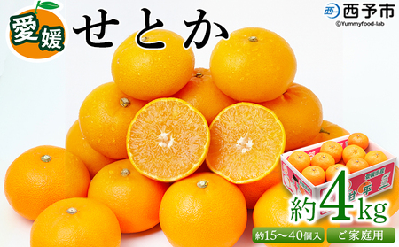 ＜愛媛県西予市産 せとか ご家庭用 約4kg＞ 訳あり 不揃い 傷 果物 フルーツ みかん ミカン 蜜柑 セトカ オレンジ 柑橘類 選べる 甘い 期間限定 食べて応援 特産品 宇都宮物産 【常温】『2027年2月下旬～4月上旬迄に順次出荷予定』UUB0008