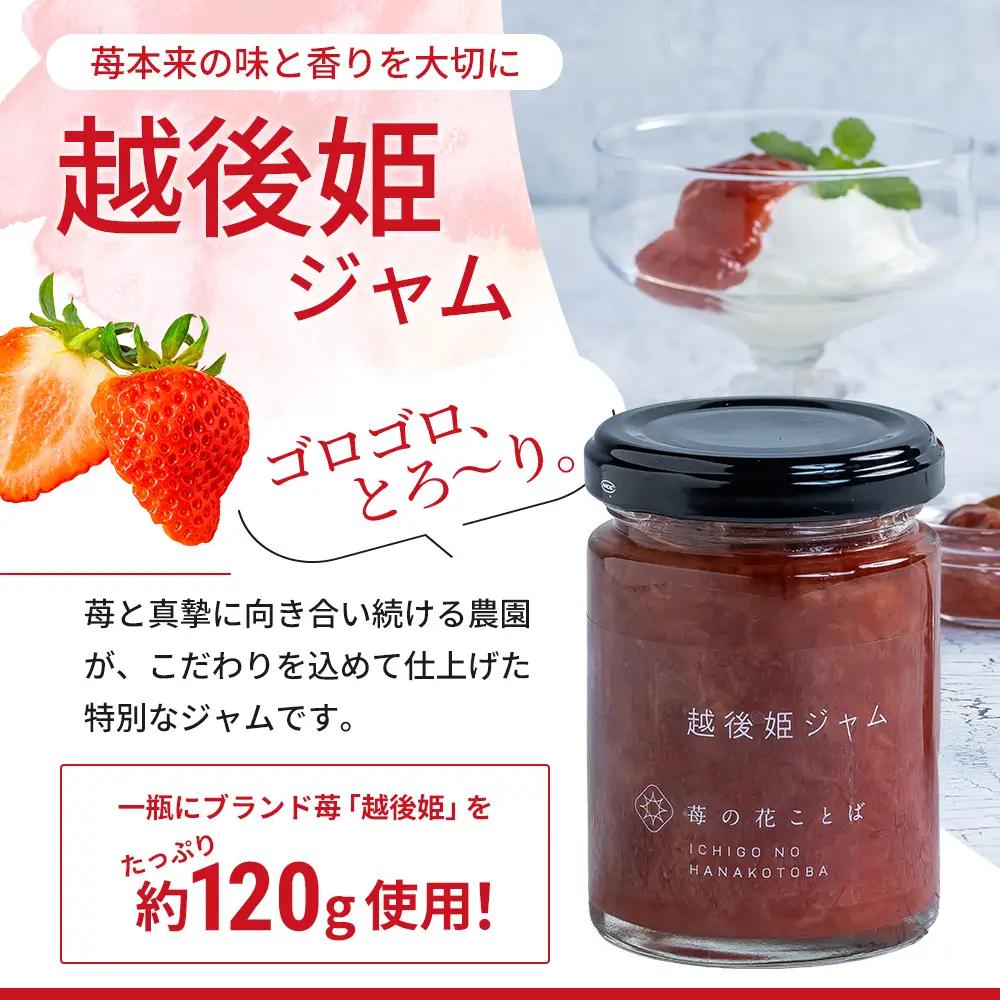 越後姫ジャム3瓶 いちご イチゴ 苺 加工品 お取り寄せ 新潟