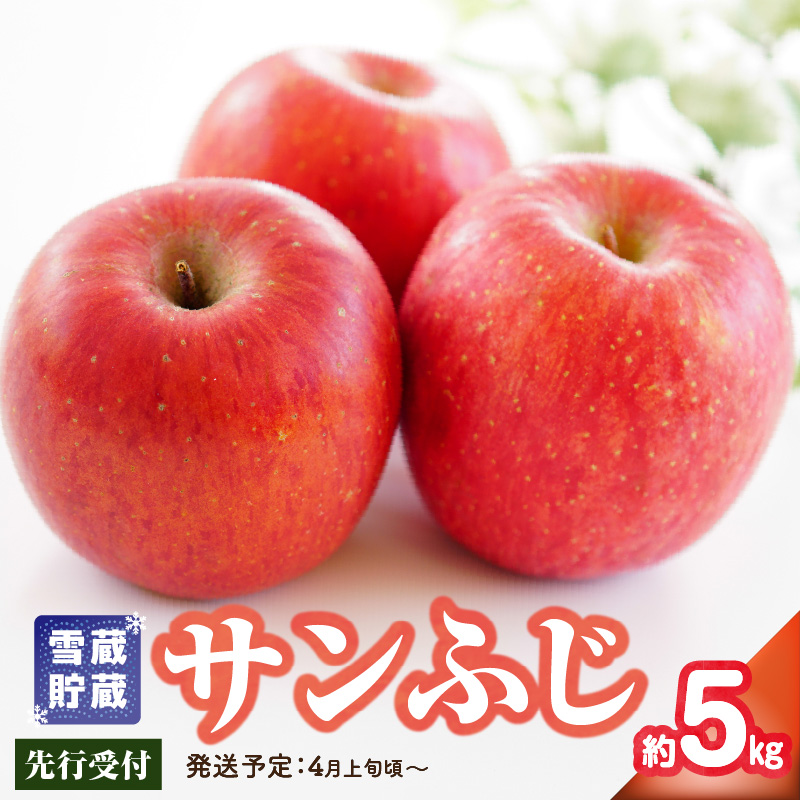 《先行受付》家庭用 雪蔵貯蔵 サンふじ 約5kg【2026年4月上旬頃～発送予定 冷蔵お届け】【大江町産・山形りんご・りんご専科 清野】