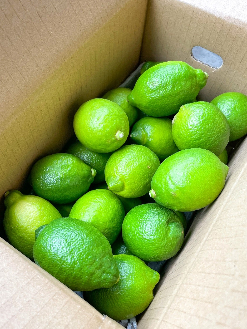 
            B362-07 【訳あり】グリーンレモン　約３kg
          