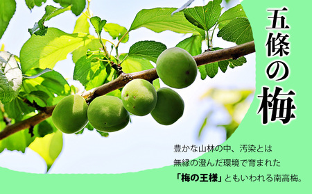 有機栽培 南高しそ漬け梅干700g 小梅しそ漬け梅干700g 