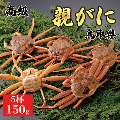 ふるさと納税 北栄町 【2026年11月発送】鳥取県産 特撰 親がに 姿【セコガニ】(活)150g 5杯  N40_I