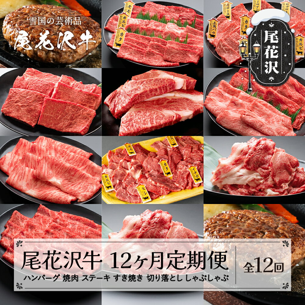 【ふるさと納税】尾花沢牛 12ヶ月 定期便 ( 焼肉 / ハンバーグ / しゃぶしゃぶ / ステーキ / すき焼き / 切り落とし ) 全12回 冷凍配送 国産牛 山形牛 尾花沢牛 黒毛和牛 牛肉 お肉 食べ比べ 牛 定期 毎月発送 送料無料 nj-tkogx12
