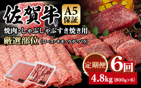 【定期便】佐賀牛 A5 焼肉・しゃぶしゃぶすき焼き 厳選部位 合計800g（400g x 各1P）6回定期 計4.8kg(800gx6)  Q126-003 桑原畜産 小分け ブランド牛 黒毛和牛 牛肉 人気 高評価 佐賀県 小城市