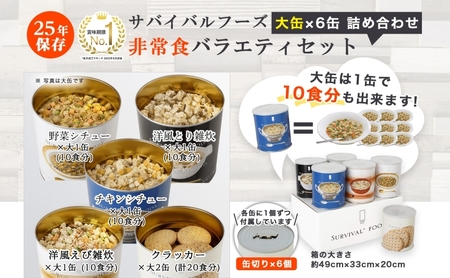 賞味期限25年 非常食 バラエティセット 大缶6缶 詰合せ 約60食分 缶切り付 サバイバルフーズ クラッカー シチュー 雑炊 美味しい 常温保存 防災 非常用 非常用食品 防災グッズ 災害対策 フリ