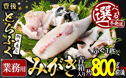 ＼12月発送／＜業務用＞豊後とらふぐ 1匹 青箱入 (約800g前後) ふぐ フグ とらふぐ 皮 アラ あら てっちり鍋 鍋 ふぐ唐揚げ ふぐ刺し フグ刺し ふぐ刺身 フグ刺身 刺身 鮮魚 冷蔵 養殖 業務用 国産 大分県【AB211】【柳井商店】