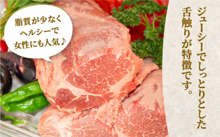 博多和牛 牛肉 A5 A4 ヒレ シャトーブリアン 3枚（計450g）＜有限会社筑前屋＞那珂川市 牛肉 肉 黒毛和牛 ブランド牛 国産  BBQ バーベキュー  50000 50000円 [GCF00