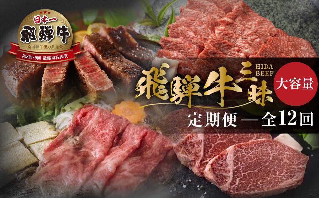 
《まるごと定期便》12回 飛騨牛三昧 大容量 お届け 肉 牛肉 すき焼き ステーキ 切り落とし 焼肉 バラエティ 定期便 50万 500000円 [S600]
