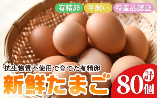 
                  石黒たまご園の平飼い有精卵 80個入り たまご タマゴ 鶏卵 玉子 卵 常温 茨城県 普段使い用 パック包装 平飼い 80個 【石黒たまご園】【ho1624】
                