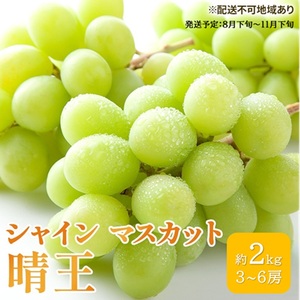 シャインマスカット 晴王 岡山県産 シャインマスカット【約2kg 3～6房】【先行予約】