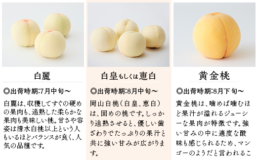 【ご家庭用】岡山の桃 日川白鳳 5～7玉【2026年6月下旬頃から順次発送】