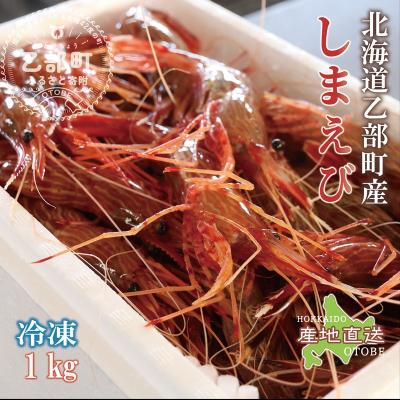 ふるさと納税 乙部町 <シマエビ(冷凍)　1kg>甘く濃厚な味わい! 北海道 道産 国産 乙部町産 しまえび 海老 日本海