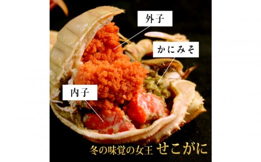 【11月中旬以降発送】訳あり 浜茹でせいこ蟹×5枚（750g前後）【鳥取県 境港市】